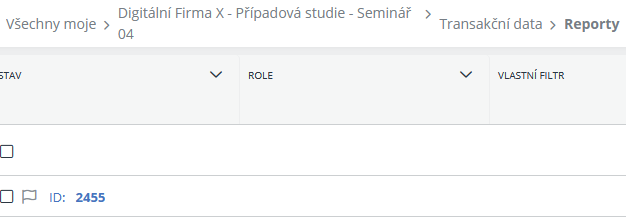 Vytvořený vlastní objekt Report